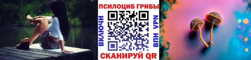 где купить наркотик  Ясный  Галлюциногенные грибы Magic Shrooms 
